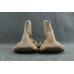 Balenciaga Speed 2.0 Beige
