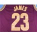 Adidas LeBron James Cleveland Cavaliers Hardwood Classics Jersey 23 Red