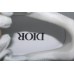 Dior B22 White Silver