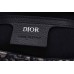 Dior Oblique Backpack