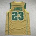 James Irish basketball jersey 23 Yellow