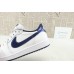 Jordan 1 Retro Low Metallic Blue