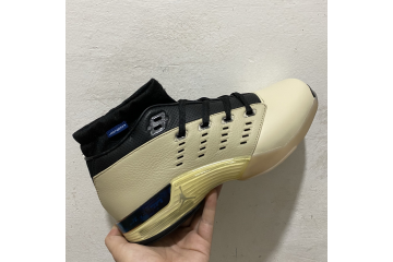 Jordan 17 Retro Low SP Infinite Archives