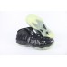 Nike Air Foamposite One All-Star (2021)