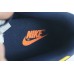 Nike Dunk Low Michigan  Varsity Maize