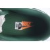GP Nike Dunk Low Michigan State Varsity Green