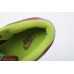 GP Nike Dunk Low Veneer