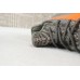 PK adidas Yeezy Boost 350 V2 Beluga BB1826